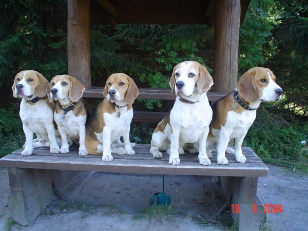 kliknutím zavřete okno