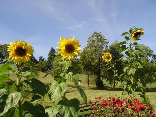 kliknutím zavřete okno