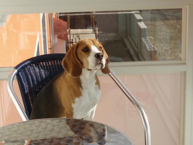 kliknutím zavřete okno