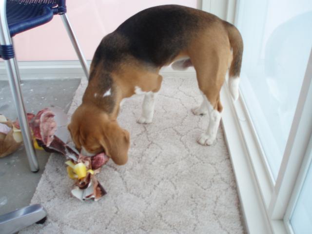 kliknutím zavřete okno