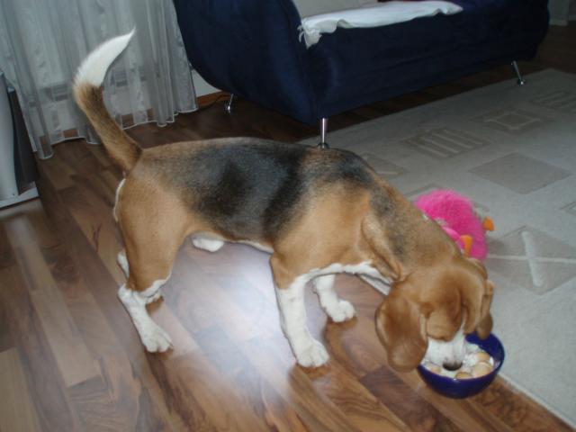 kliknutím zavřete okno