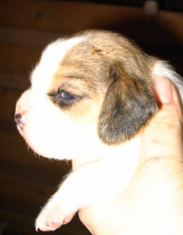 kliknutím zavřete okno