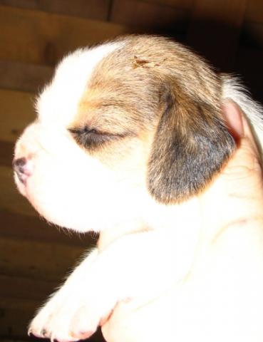 kliknutím zavřete okno