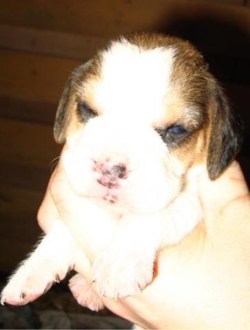 kliknutím zavřete okno