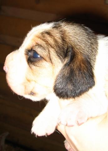 kliknutím zavřete okno