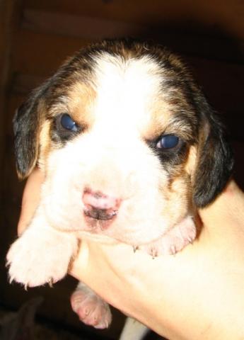 kliknutím zavřete okno