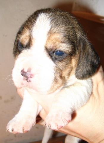 kliknutím zavřete okno