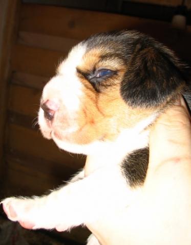 kliknutím zavřete okno