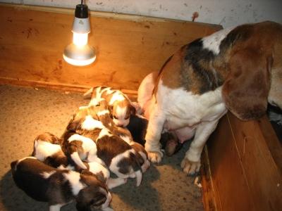 kliknutím zavřete okno