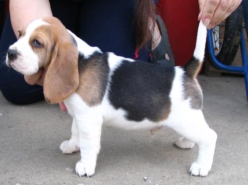 kliknutím zavřete okno