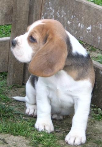 kliknutím zavřete okno