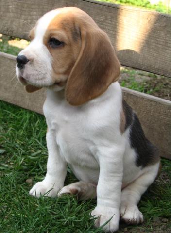 kliknutím zavřete okno