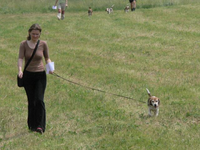 kliknutím zavřete okno