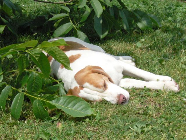 kliknutím zavřete okno